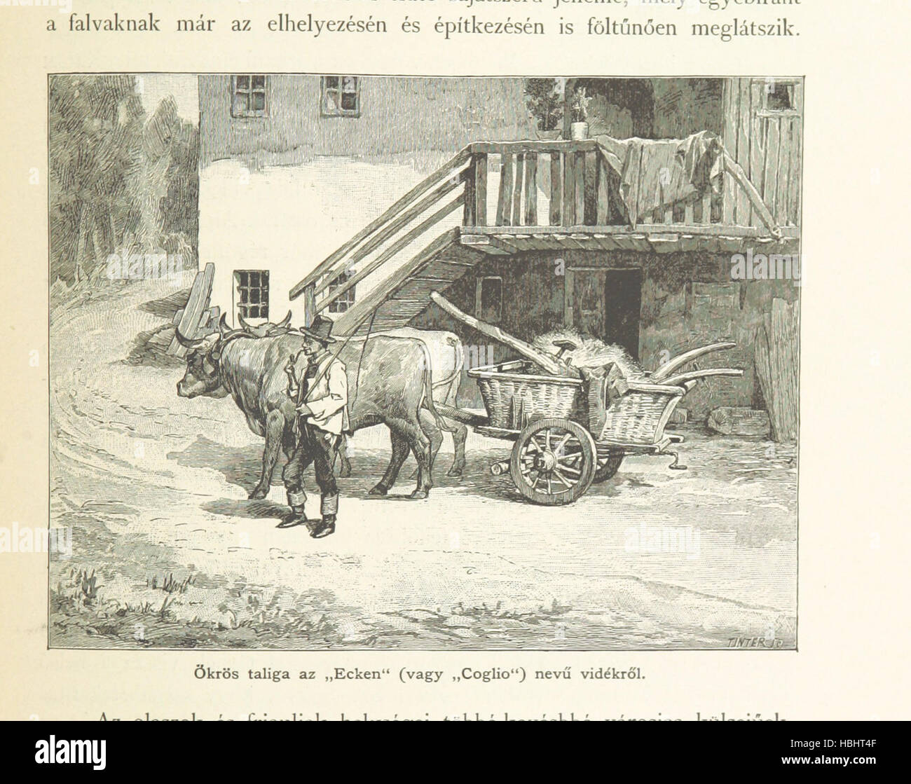 Image prise à partir de la page 207 de "Az Osztrák Magyar-irásban képben monarchie és. Rudolf trónörökös főherczeg fensége kezdeményezéséből ... il közremunkálásával és. (Die Deutsche Ausgabe redigirt ... J. von Weilen, Die ungarische M. Jókai.) Image prise à partir de la page 207 de "Az-Osztrák Magyar Monarchie irásban Banque D'Images