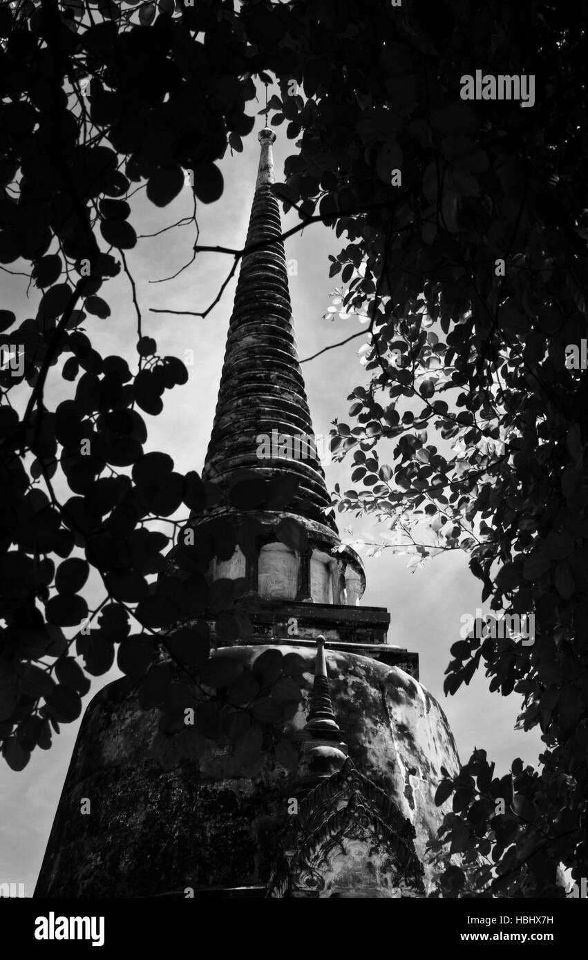 Une pagode entourée d'arbres à Ayutthaya, Thaïlande. Banque D'Images