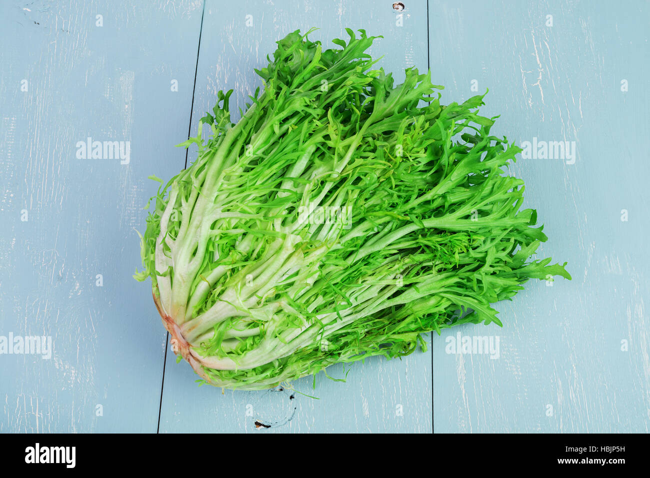 Endives De Bebe Photo Stock Alamy