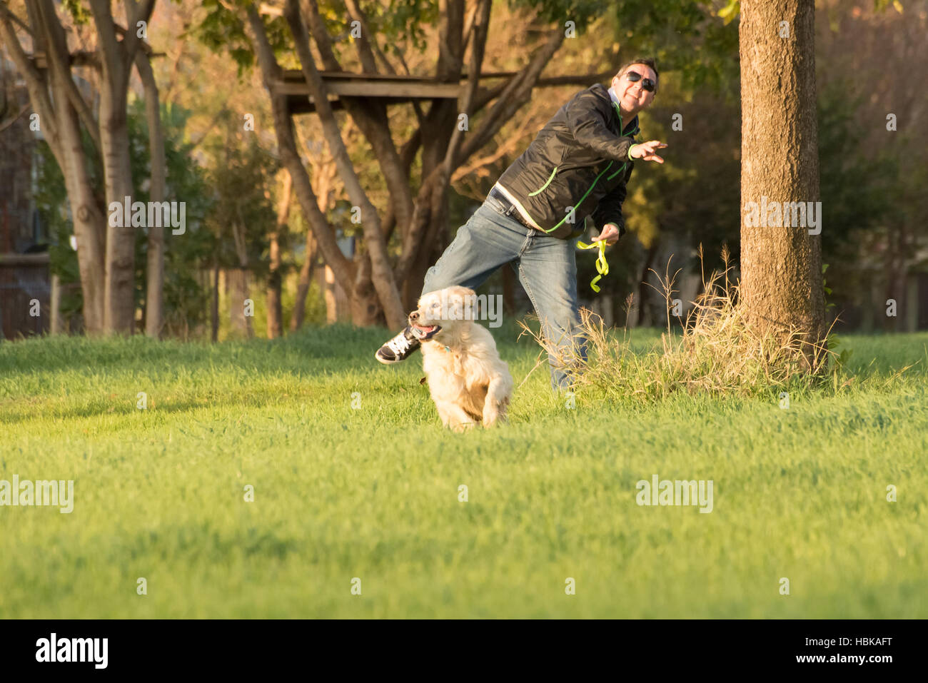 Man Throwing Ball pour Golden Retriever Banque D'Images