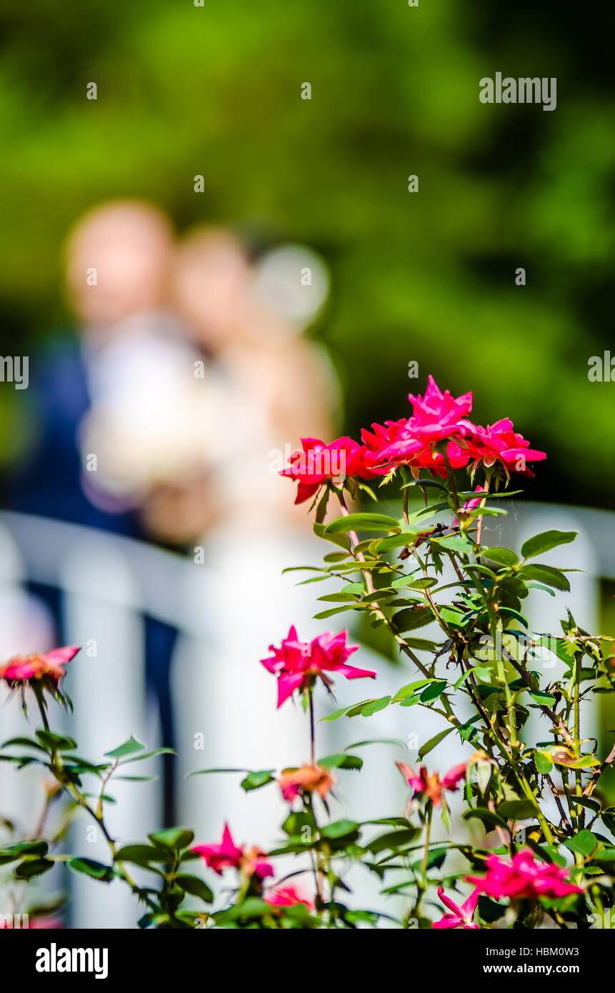 Dans les détails de configuration de mariage lieu jardin Banque D'Images