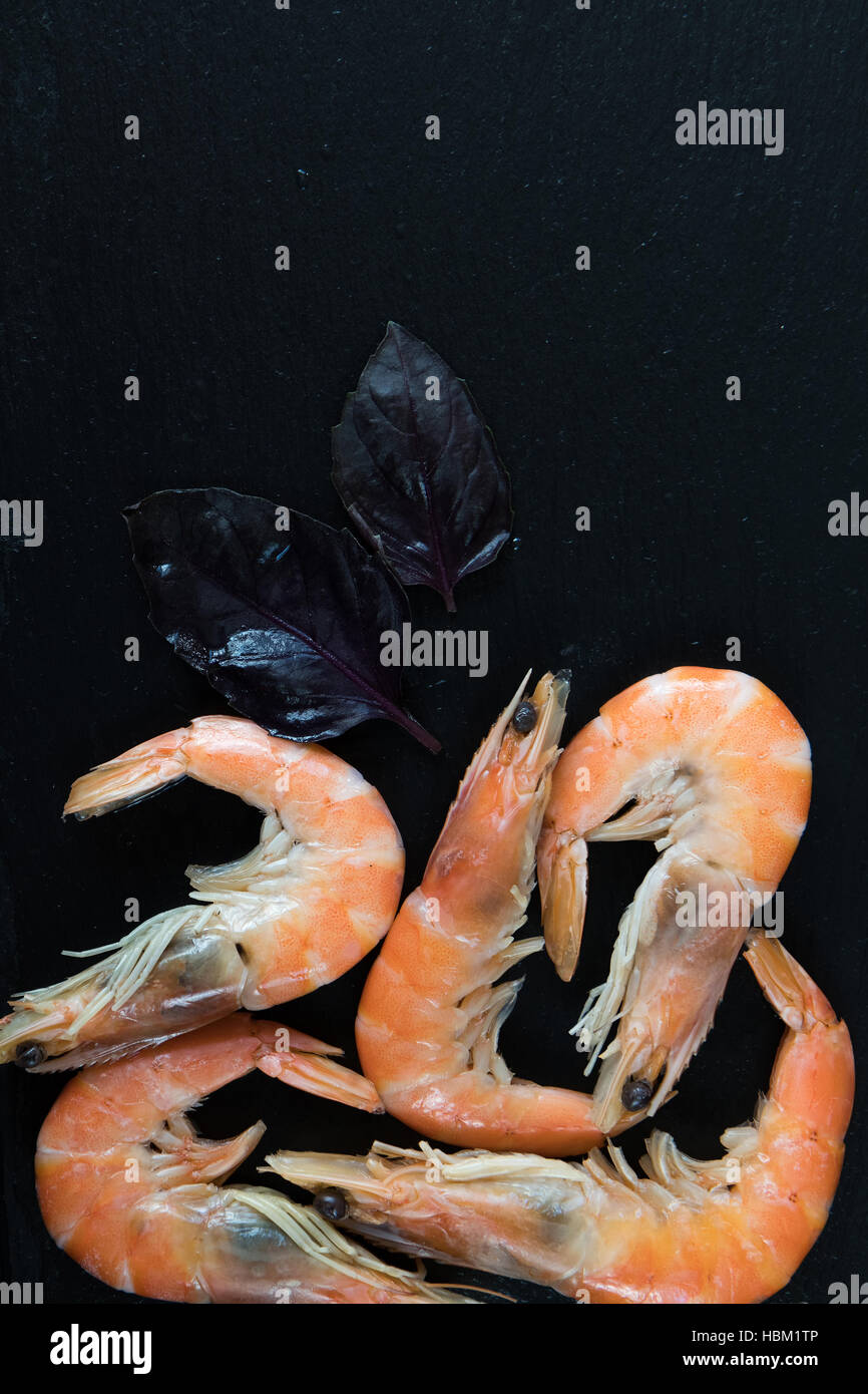 Crevette rose gastronomique avec des herbes et épices Banque D'Images