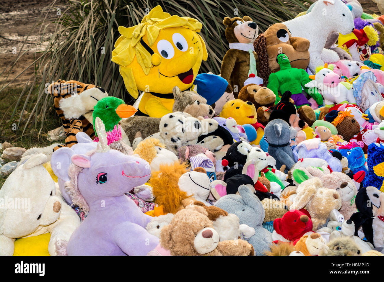 Revente jouet Clearance