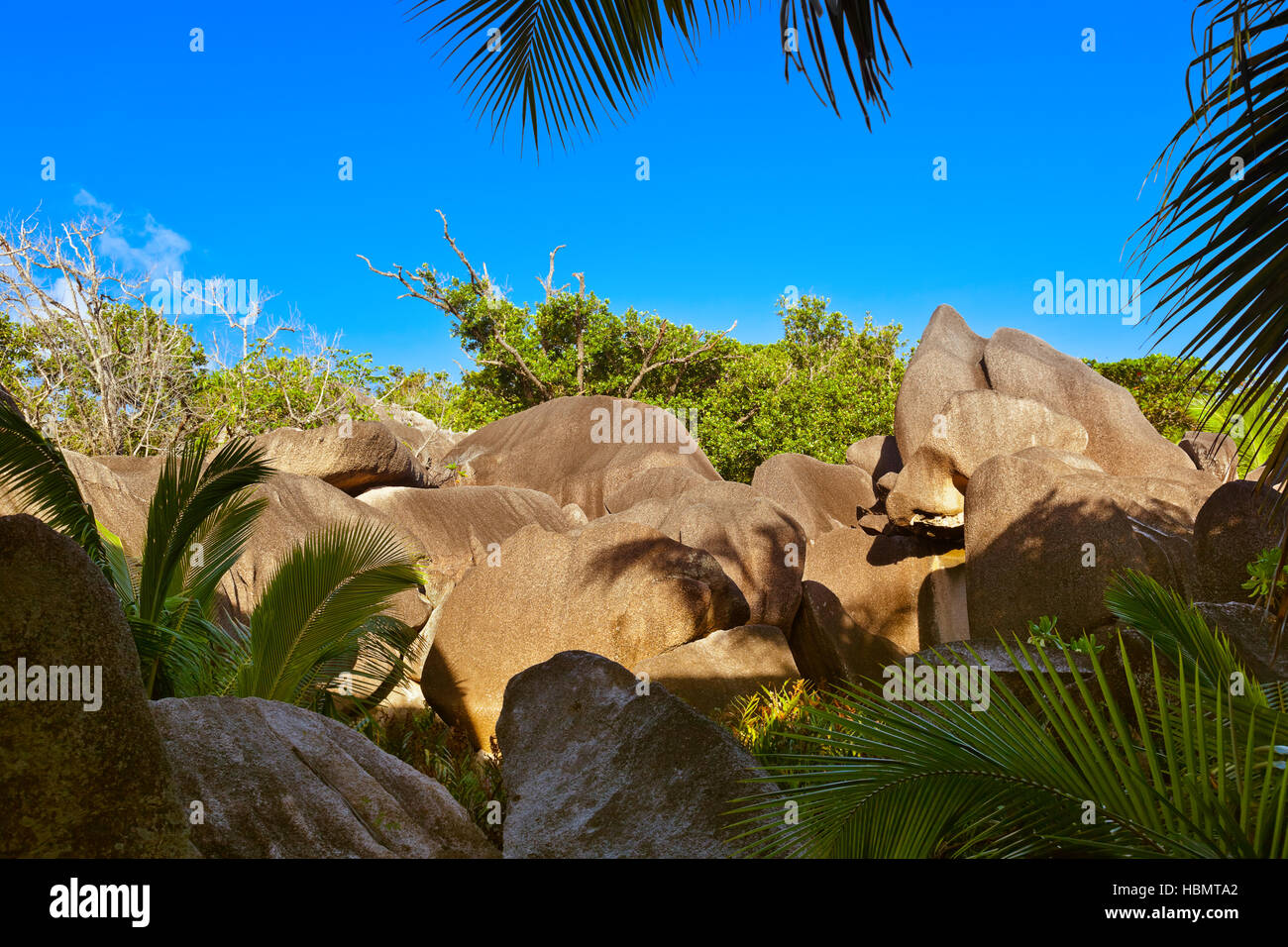 Paysage tropical à Seychelles Banque D'Images