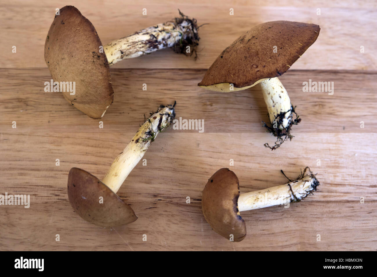Les champignons sur une planche en bois Banque D'Images