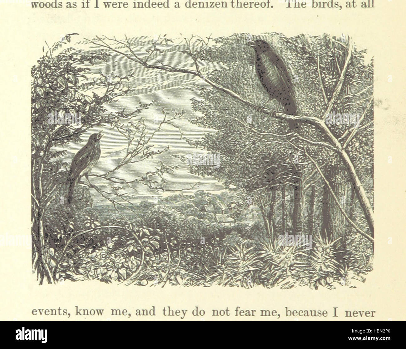 Image prise à partir de la page 366 de "Aileen l'Aroon : a memoir [d'un chien]. Avec d'autres contes de fidèles amis et favoris, a tracé de la vie' image prise à partir de la page 366 de "Aileen l'Aroon a memoir Banque D'Images