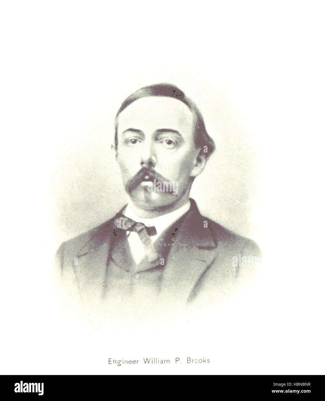 Image prise à partir de la page 179 de "deux ans sur l'Alabama. ... ... Avec des illustrations image prise à partir de la page 179 de "deux ans sur la Banque D'Images