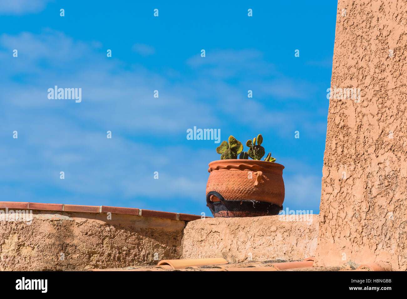 Motif de la Méditerranée, pot de fleurs avec cactus. Banque D'Images