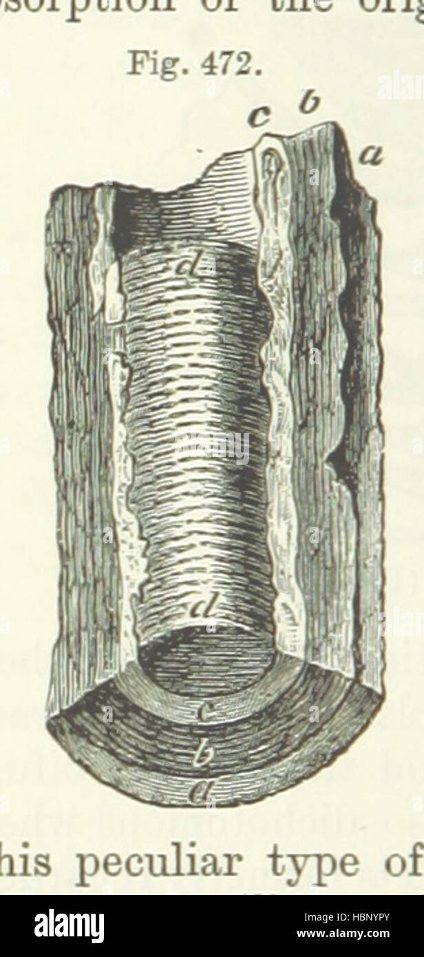 Cette illustration montre le contenu pédagogique et scientifique des « éléments de l'élève », y compris des diagrammes, des figures mathématiques et scientifiques, des tableaux et des annotations explicatives. Banque D'Images