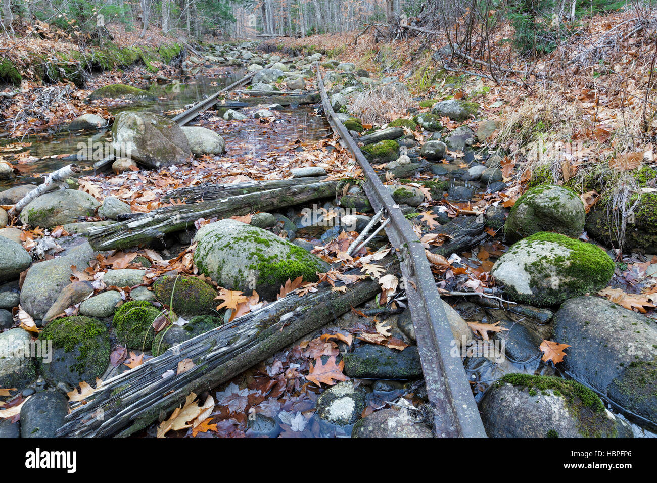 Épi abandonné de la Wild River Railroad (1891-1904) dans l'achat du Bean, New Hampshire.abandonné de l'épi Wild Riv Banque D'Images