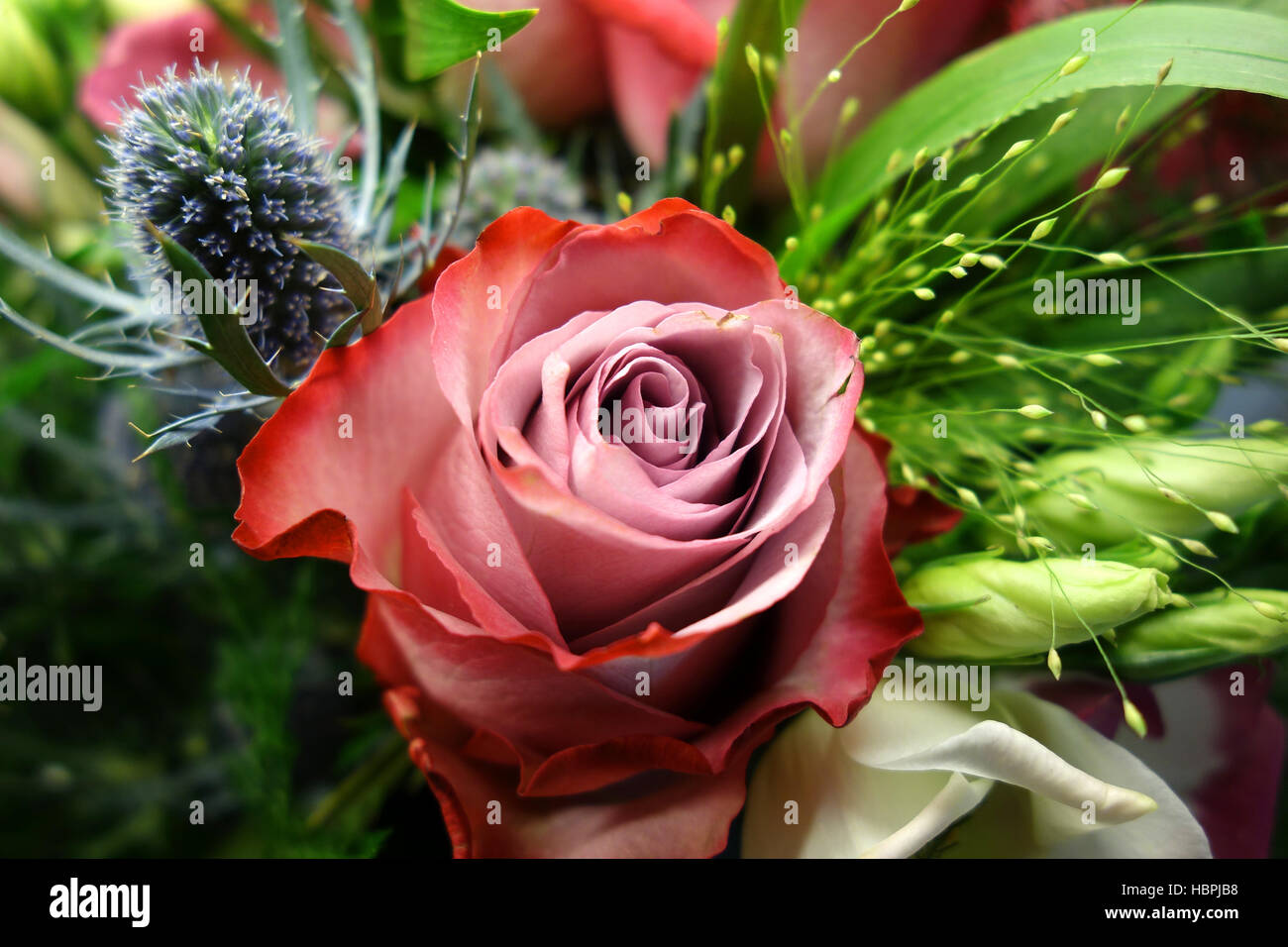 bouquet rose Banque D'Images