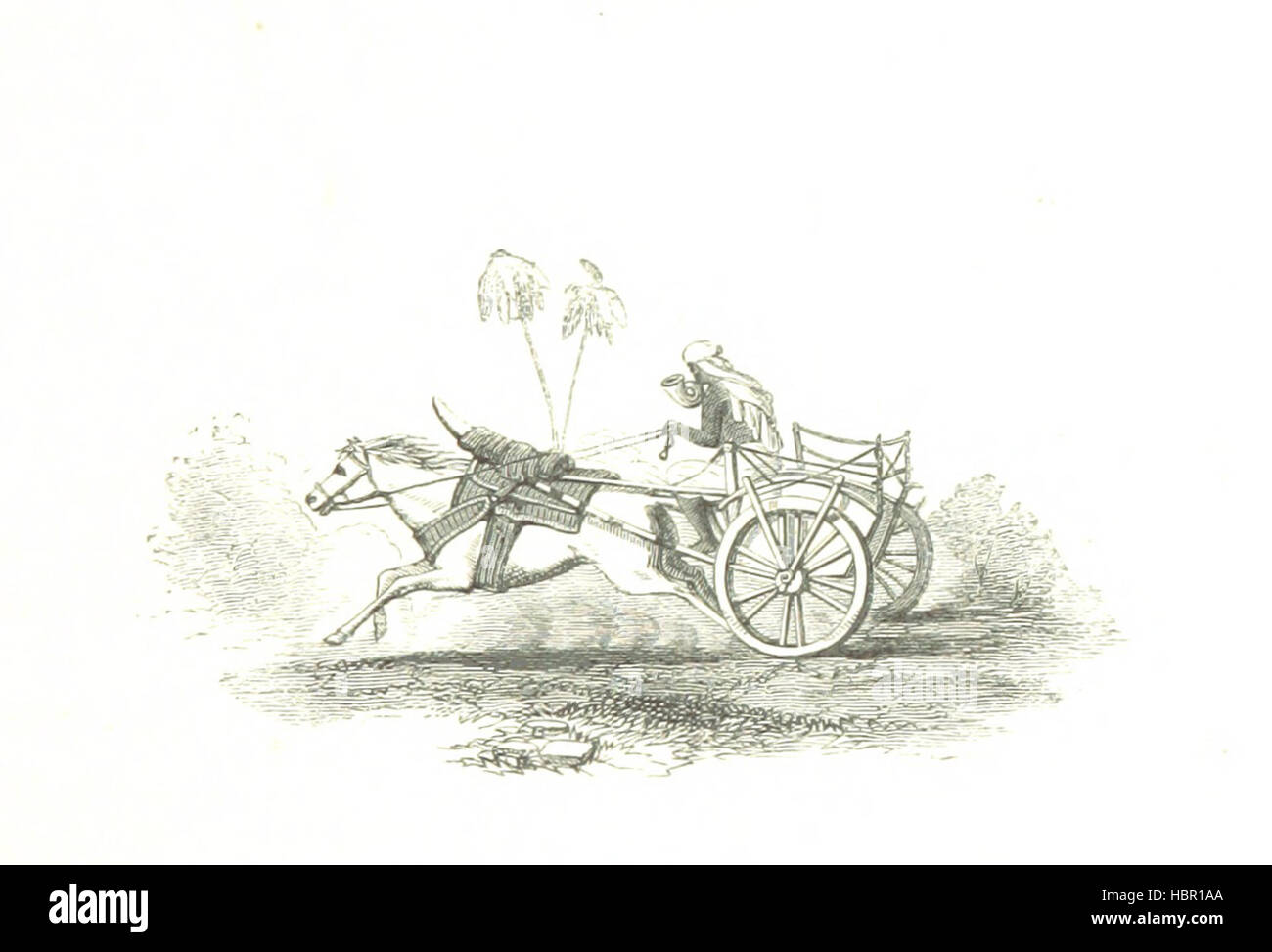 Une illustration représentant la vie rurale au Bengale, en Inde, montrant des pratiques agricoles, des maisons de village, des marchés locaux, activités agricoles et coutumes culturelles du xixe siècle. Banque D'Images