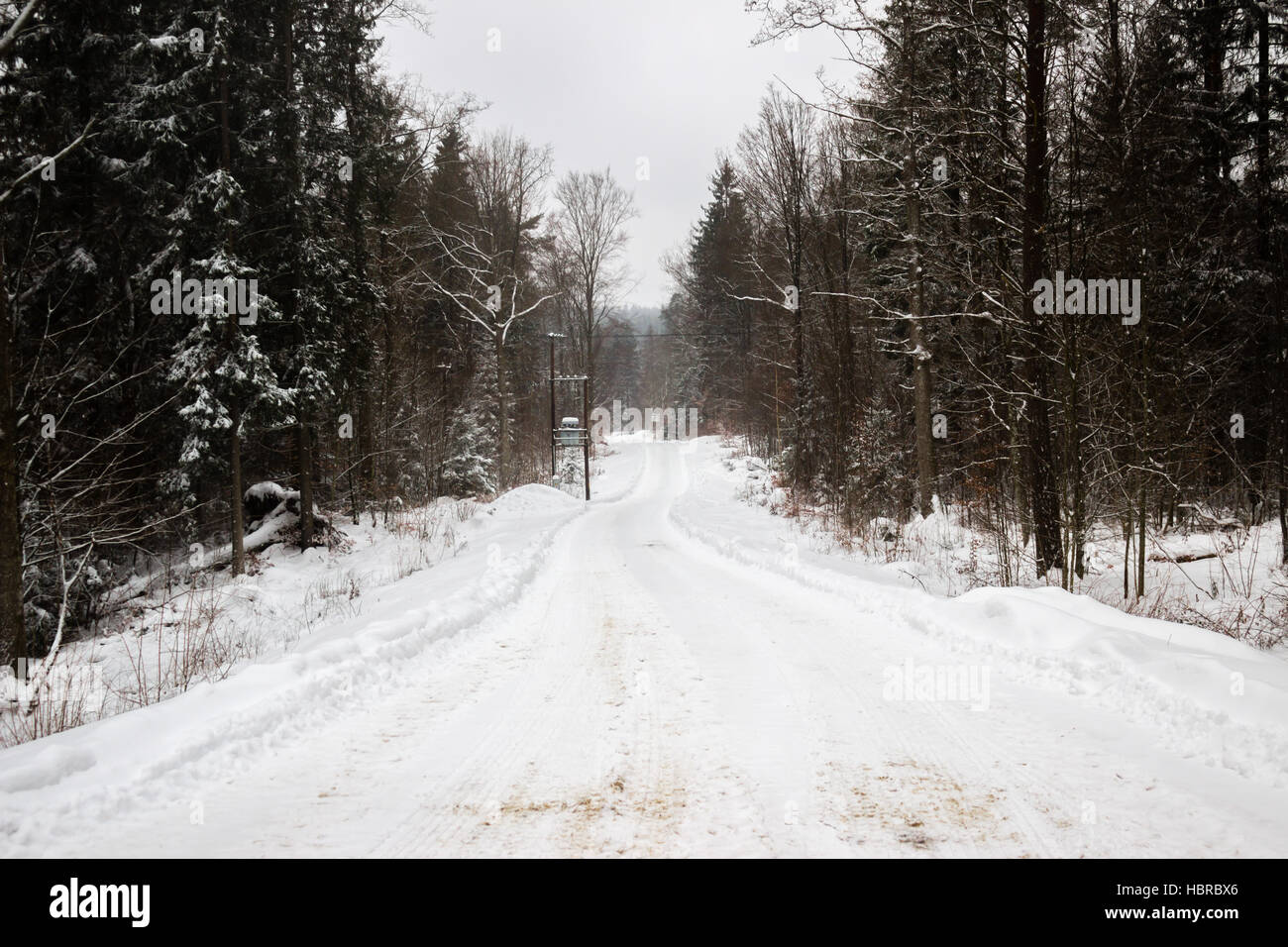 Une route enneigée c'est sinueux chemin à suivre à travers la forêt Banque D'Images