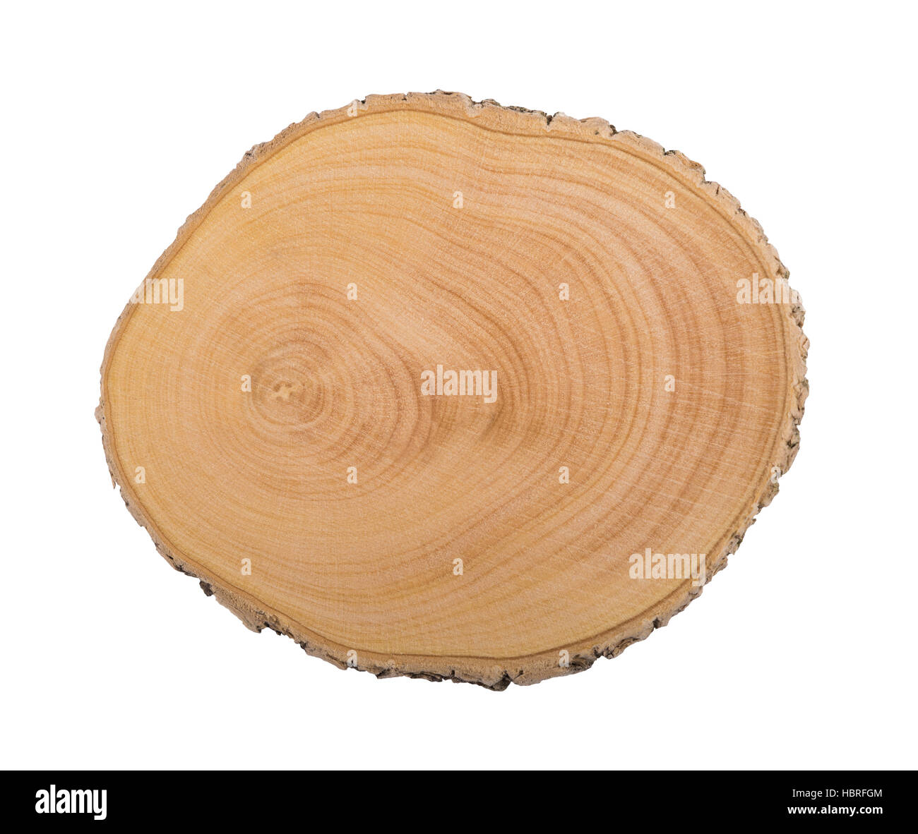 Bloc de coupe du bois d'un arbre isolé sur blanc. Banque D'Images