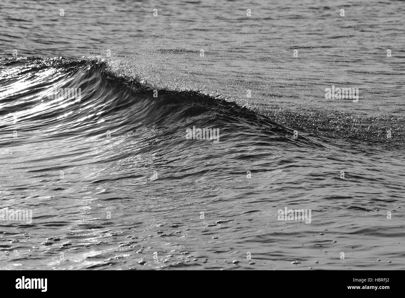 Dans la vague rétro-éclairage Banque D'Images