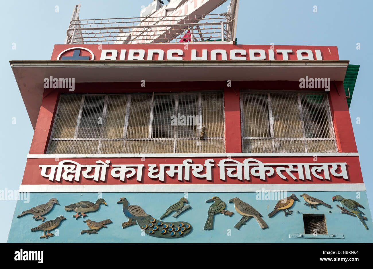 L'Hôpital d'oiseaux à Sri Digambar Jain Mandir Lal dans Old Delhi, Inde Banque D'Images