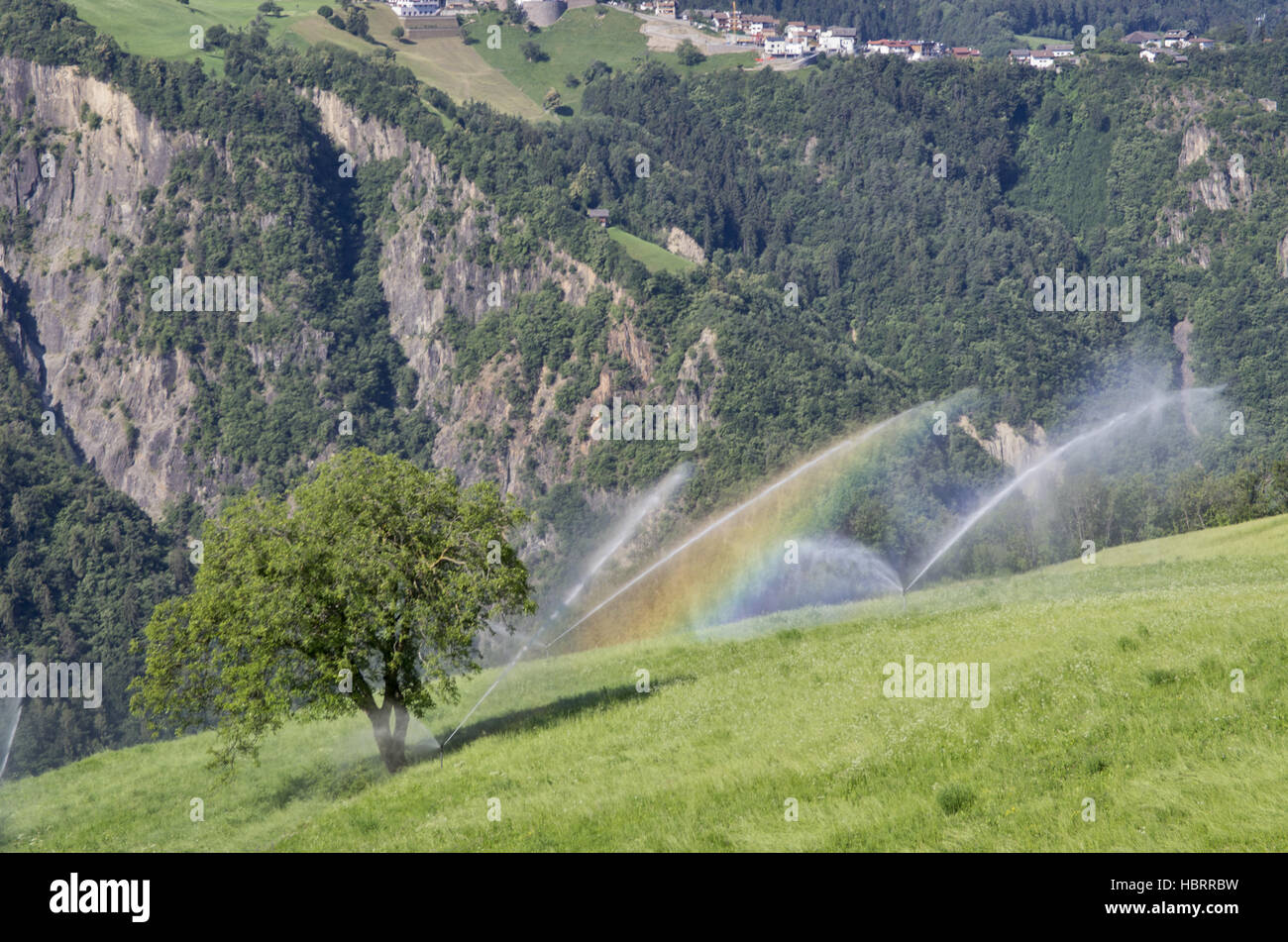 L'agriculture biologique dans le Tyrol du Sud Banque D'Images