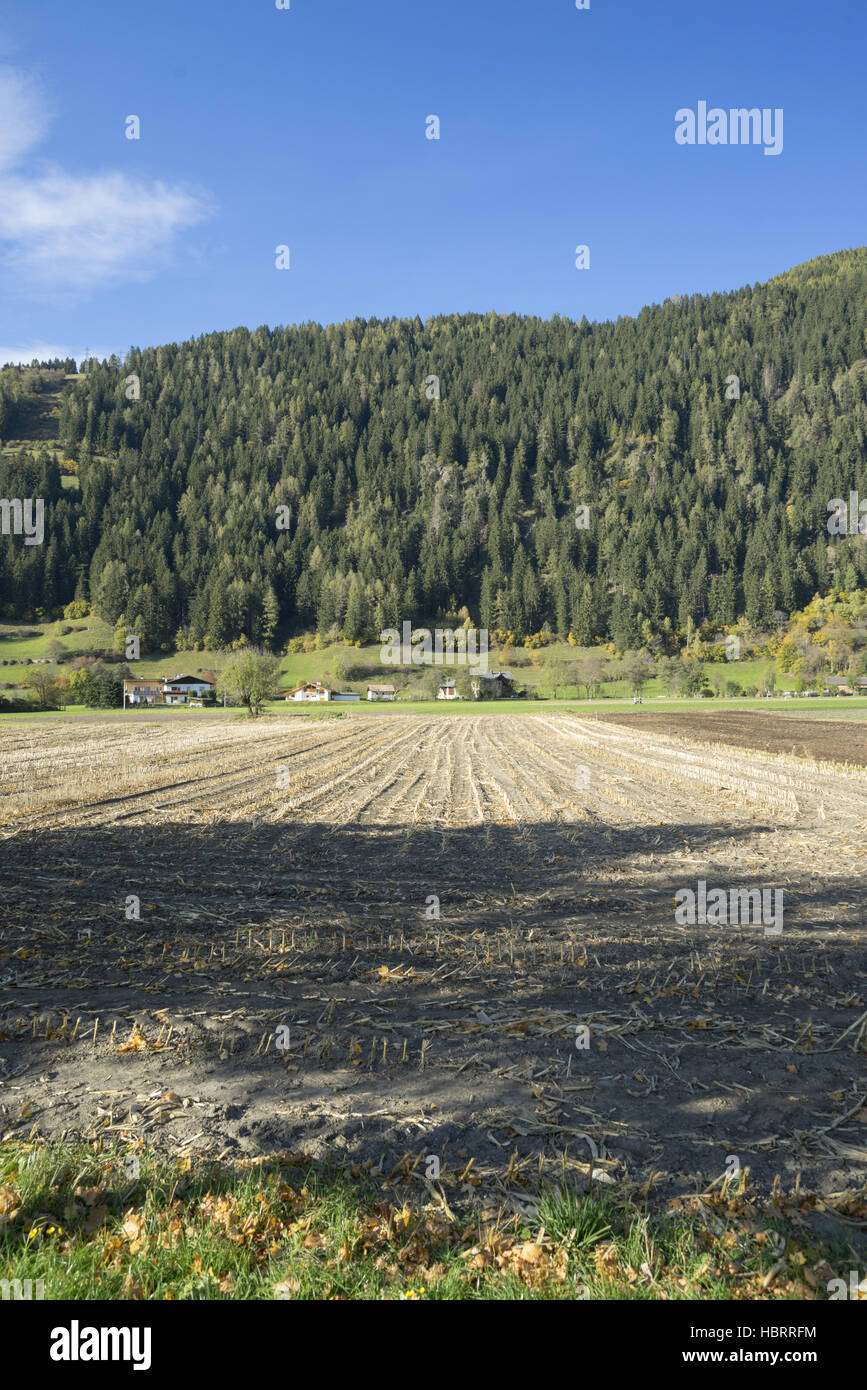 Terrain en friche dans le Tyrol Banque D'Images