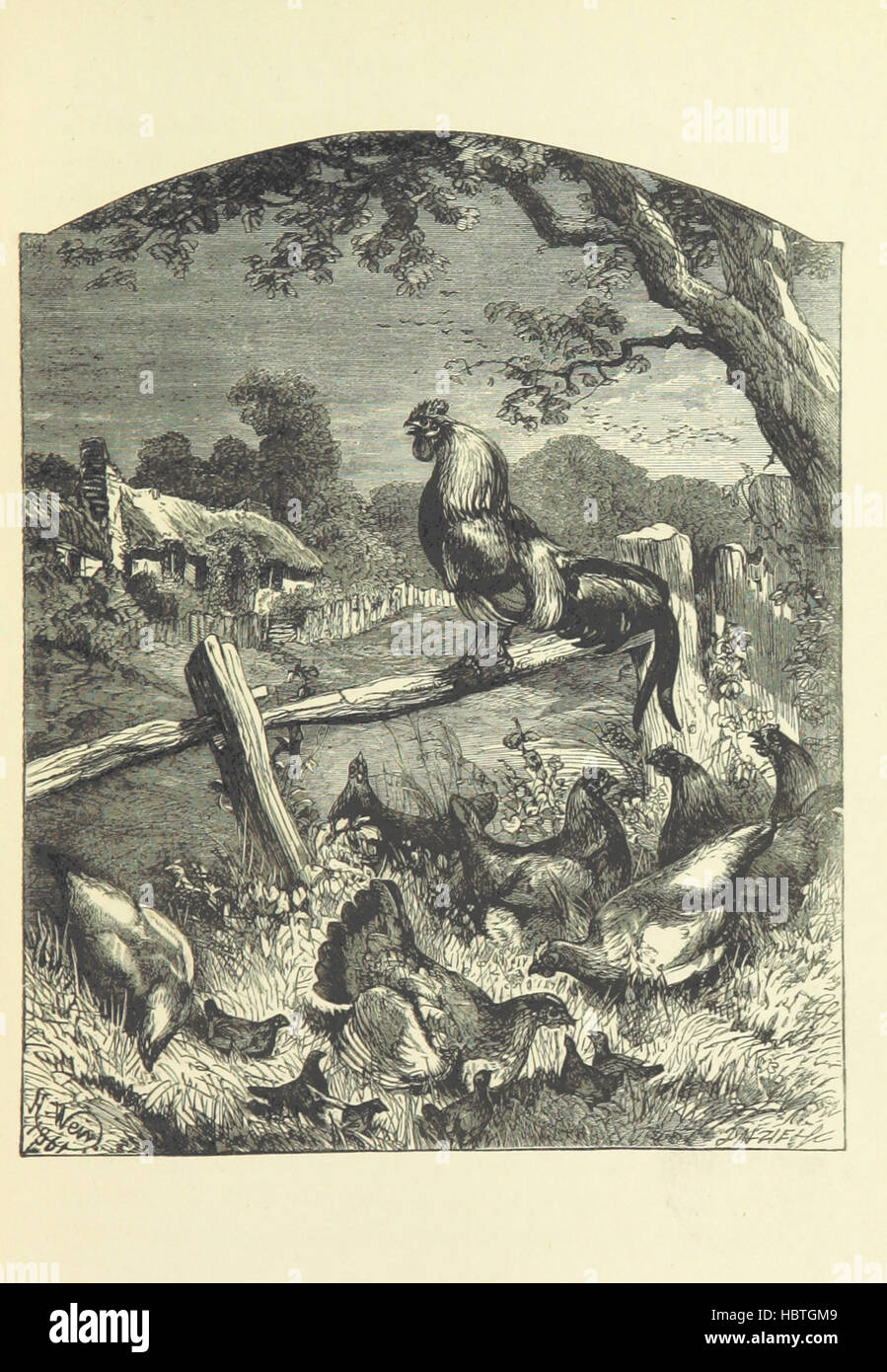 Image prise à partir de la page 377 de "Aileen l'Aroon : a memoir [d'un chien]. Avec d'autres contes de fidèles amis et favoris, a tracé de la vie' image prise à partir de la page 377 de "Aileen l'Aroon a memoir Banque D'Images