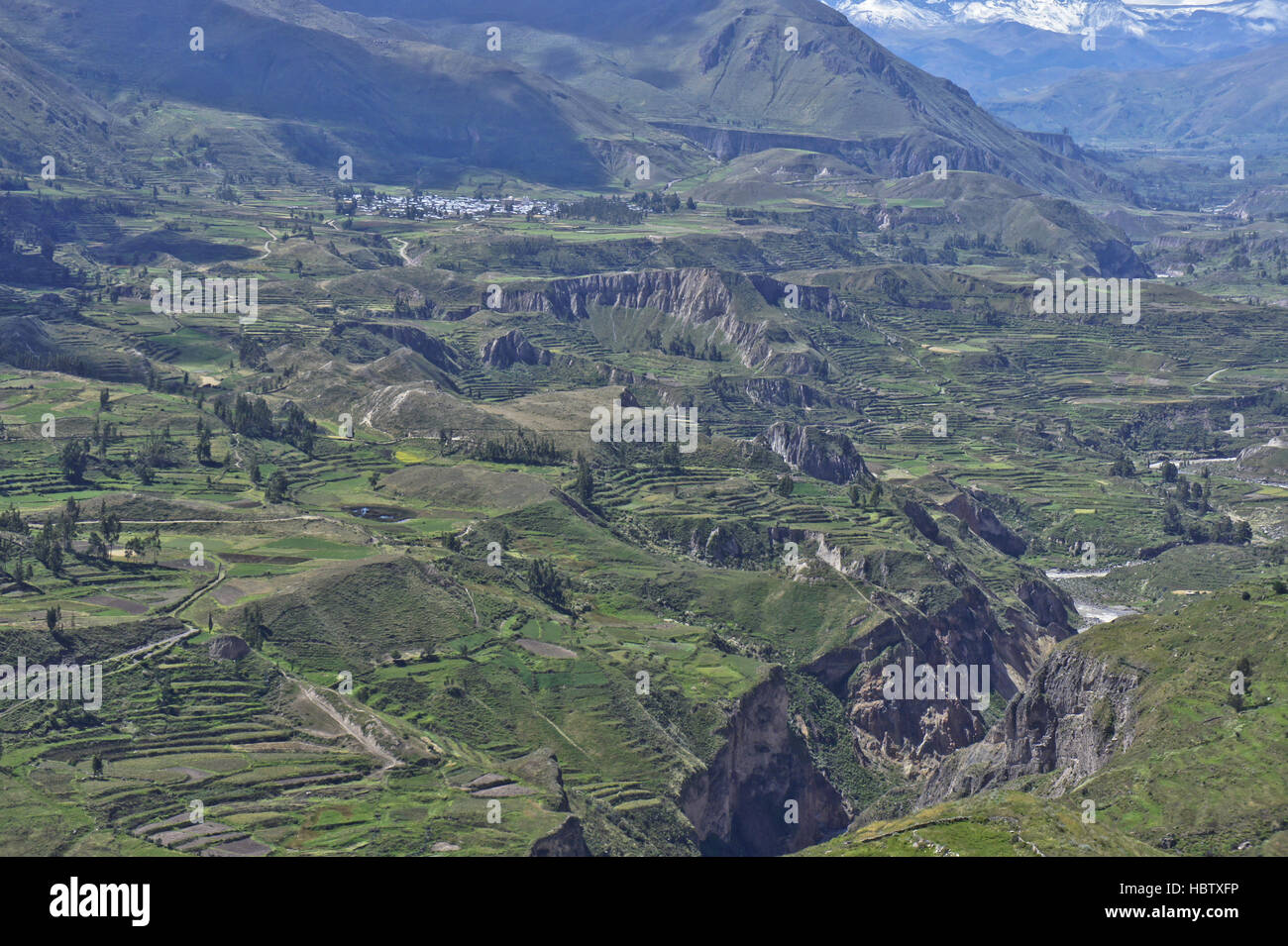 La vallée de Colca, Arequipa, Pérou, Amérique du Sud Banque D'Images