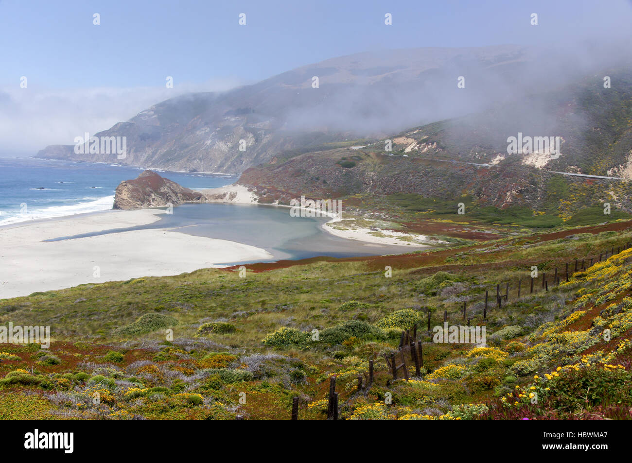 Peu sur rivière avec brouillard à printemps. Big Sur, Californie, USA Banque D'Images