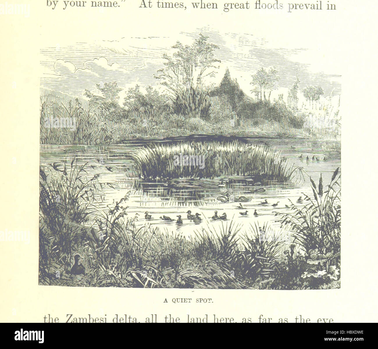 Image prise à partir de la page 461 de "grands explorateurs de l'Afrique. Avec des illustrations et carte' image prise à partir de la page 461 de "grands explorateurs de l'Afrique Banque D'Images