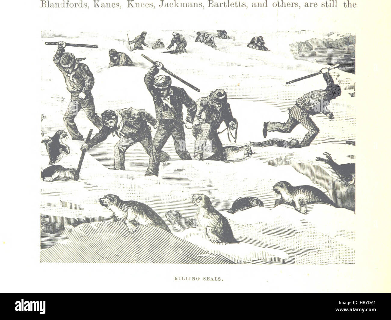 Image prise à partir de la page 524 de "une histoire de Terre-Neuve à partir de l'anglais, Colonial and Foreign records. ... ... Avec de nombreuses cartes et illustrations' image prise à partir de la page 524 de "une histoire de Terre-Neuve Banque D'Images