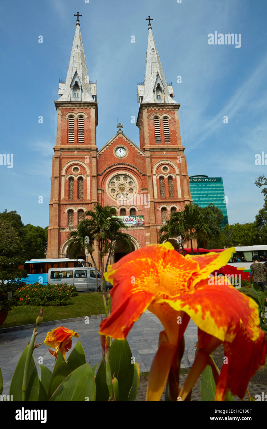 Basilique-cathédrale Notre-Dame et fleurs de Saigon, Ho Chi Minh Ville (Saigon), Vietnam Banque D'Images