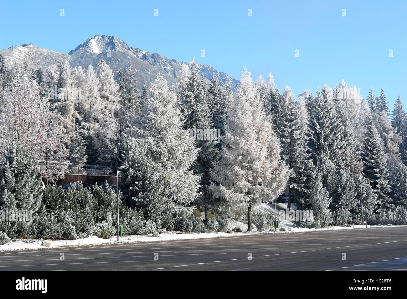 Vue de la route, les arbres couverts de neige et de montagnes en Slovaquie. Banque D'Images