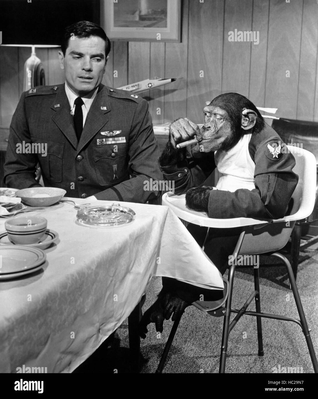 Lune pilote, Tom Tryon, Charlie le chimpanzé, 1962. ©Walt Disney/avec ...