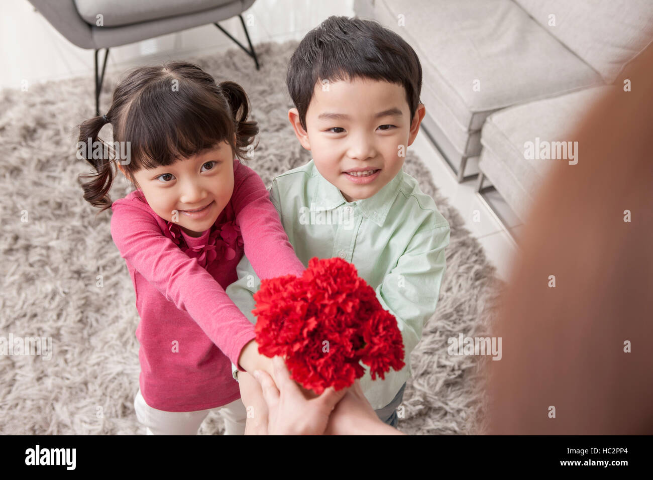 Smiling boy and girl fleurs carnation donnant à leurs parents Banque D'Images