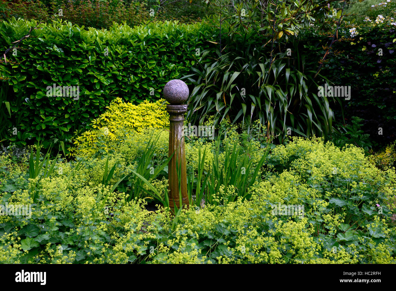 Feuillage vert feuilles garden design circle lit circulaire poster de Euphorbia amygdaloides crocosmia jardinage Floral RM Banque D'Images
