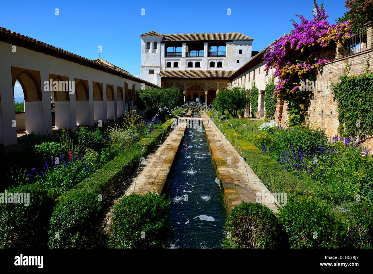 Le Patio de la Acequia canal d'Irrigation de jardin ornemental Palacio de Generalife Alhambra Granada espagne Floral RM Banque D'Images