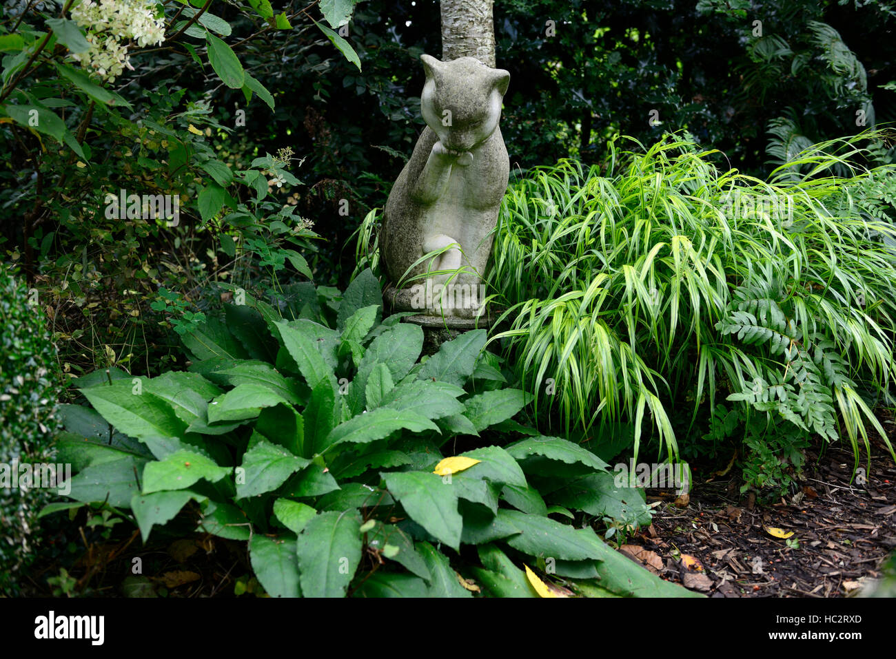 statue de chat méditez contemplez les feuilles de feuillage mélangées ombragées du jardin plantes bougies fleurs Banque D'Images