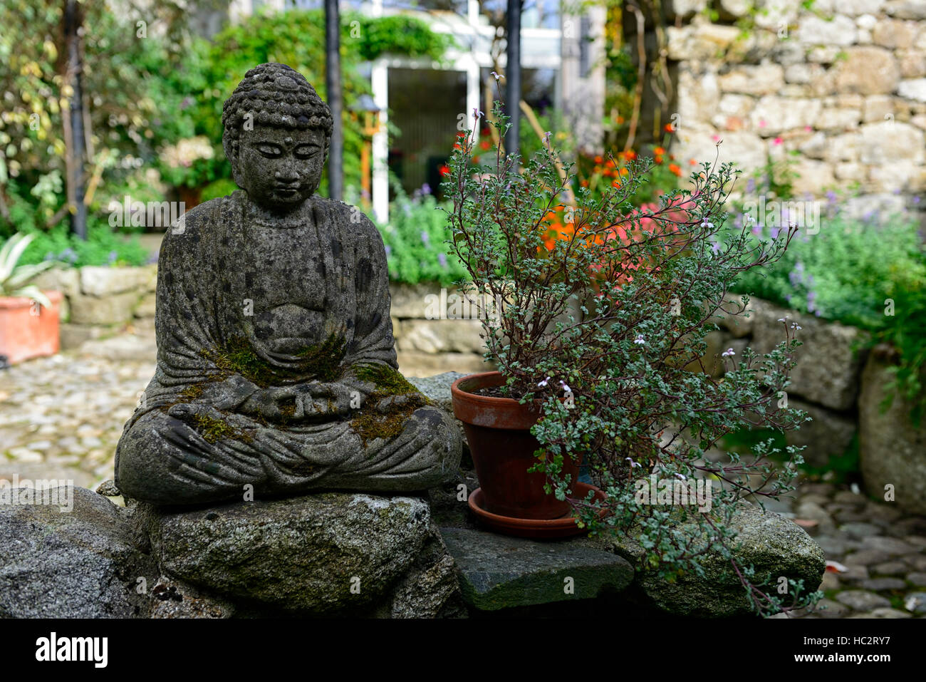 statue de bouddha méditer contemplez les feuilles ombragées de feuillage mélangé de patio plantes bougies fleurs Banque D'Images