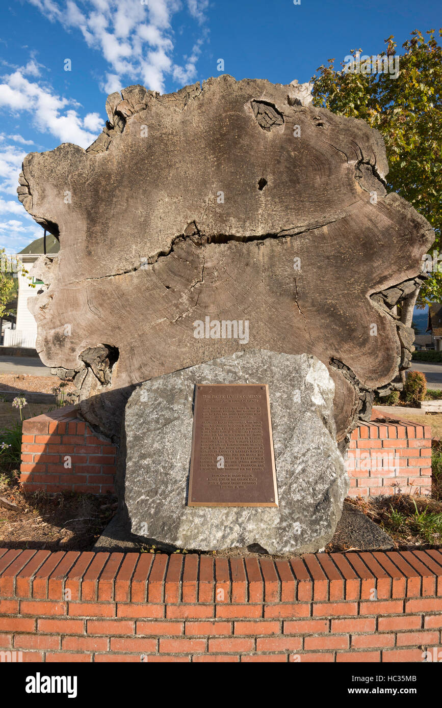 Coupe transversale d'un vieux bois rouge arbre à la Nouvelle-Écosse En Nouvelle-Écosse, Musée de la Californie. Banque D'Images