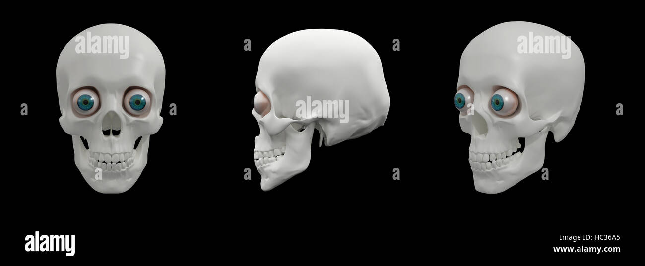 Illustration de rendu 3D le crâne humain Banque D'Images