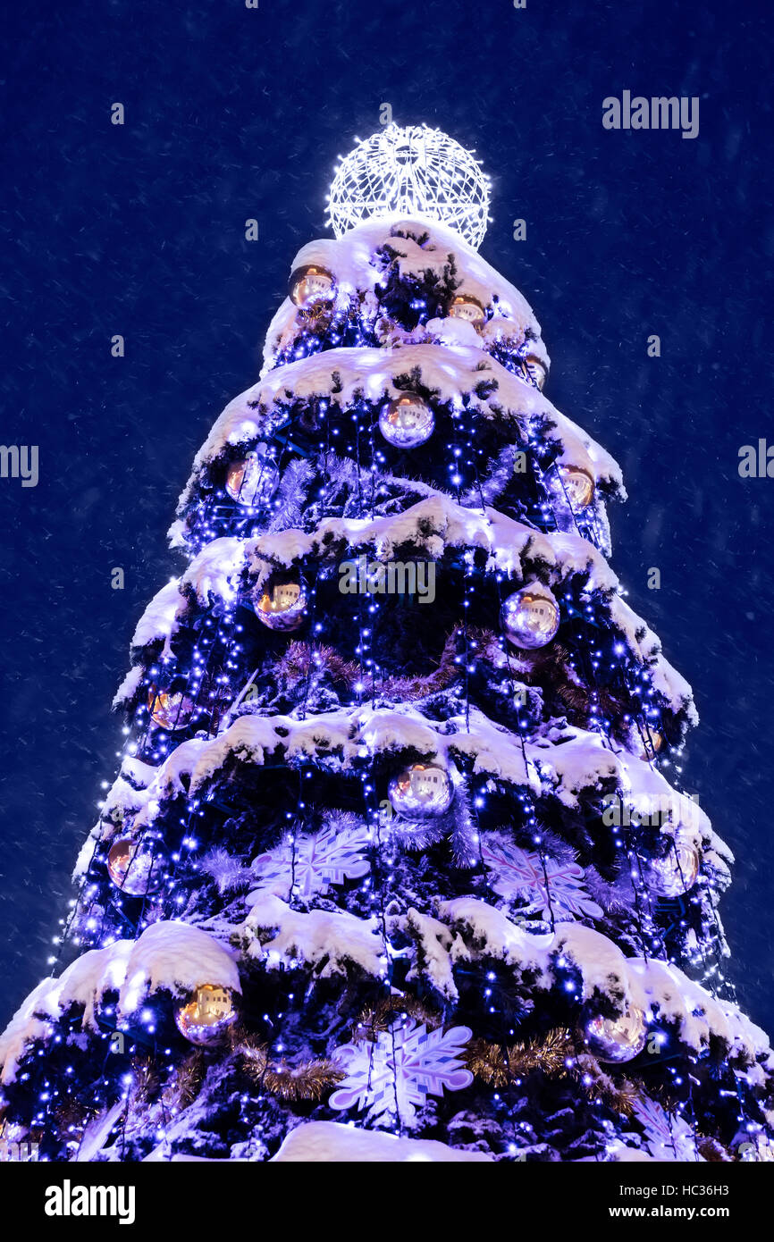 Arbre de Noël haut de feux bleus couverts dans la neige molle avec de belles décorations Banque D'Images