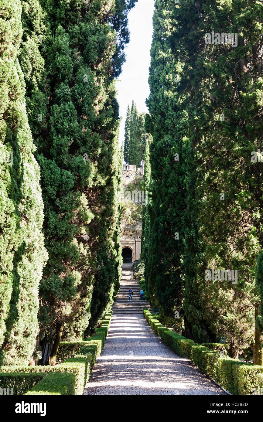 Vérone, ITALIE - 10 octobre 2016 - ruelle dans le jardin Giusti à Vérone. Le Jardin Giusti est la Renaissance italienne gardens , furent plantés en 1580. Banque D'Images