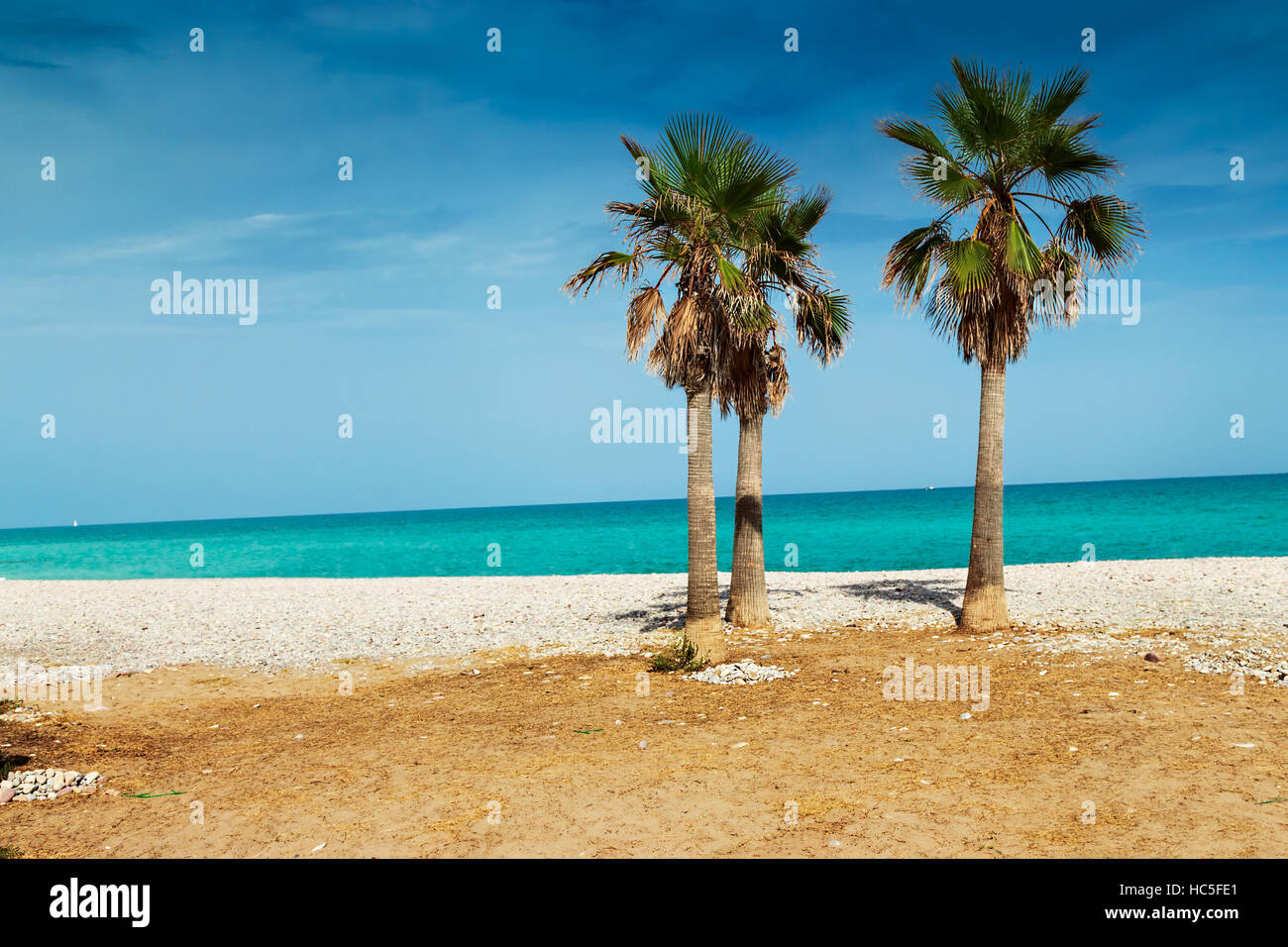 Palmiers dans une plage très calme. Image horizontale. Banque D'Images