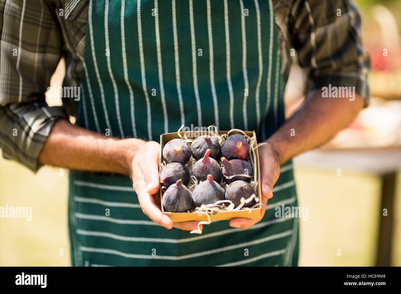 Mid section of farmer holding box of fig Banque D'Images