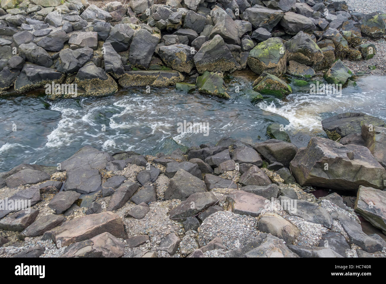 Un ruisseau coule au-delà des rochers sur le chemin de l'eau salée de Puget Sound State Park dans l'État de Washington. Banque D'Images