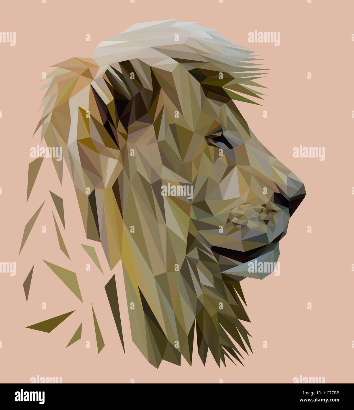 Basse design Lion poly. Illustration vecteur de triangle Illustration de Vecteur