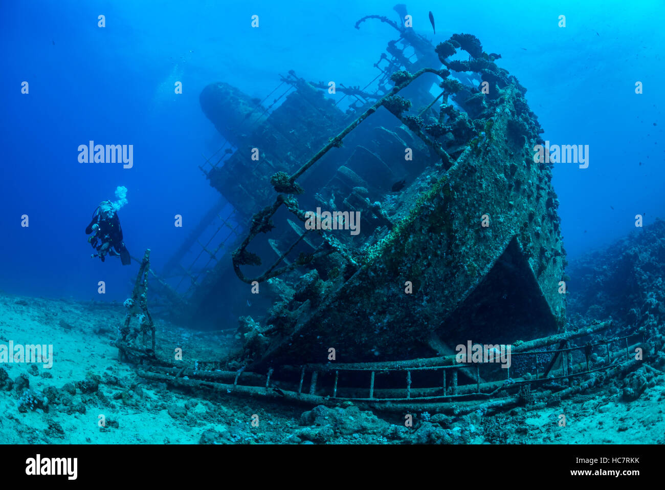 Seul plongeur explore l'épave du Giannis D, qui a coulé en 1983 à Abu Nahas, Mer Rouge, Egypte. Les jeunes d'établir un nouveau récif. Banque D'Images