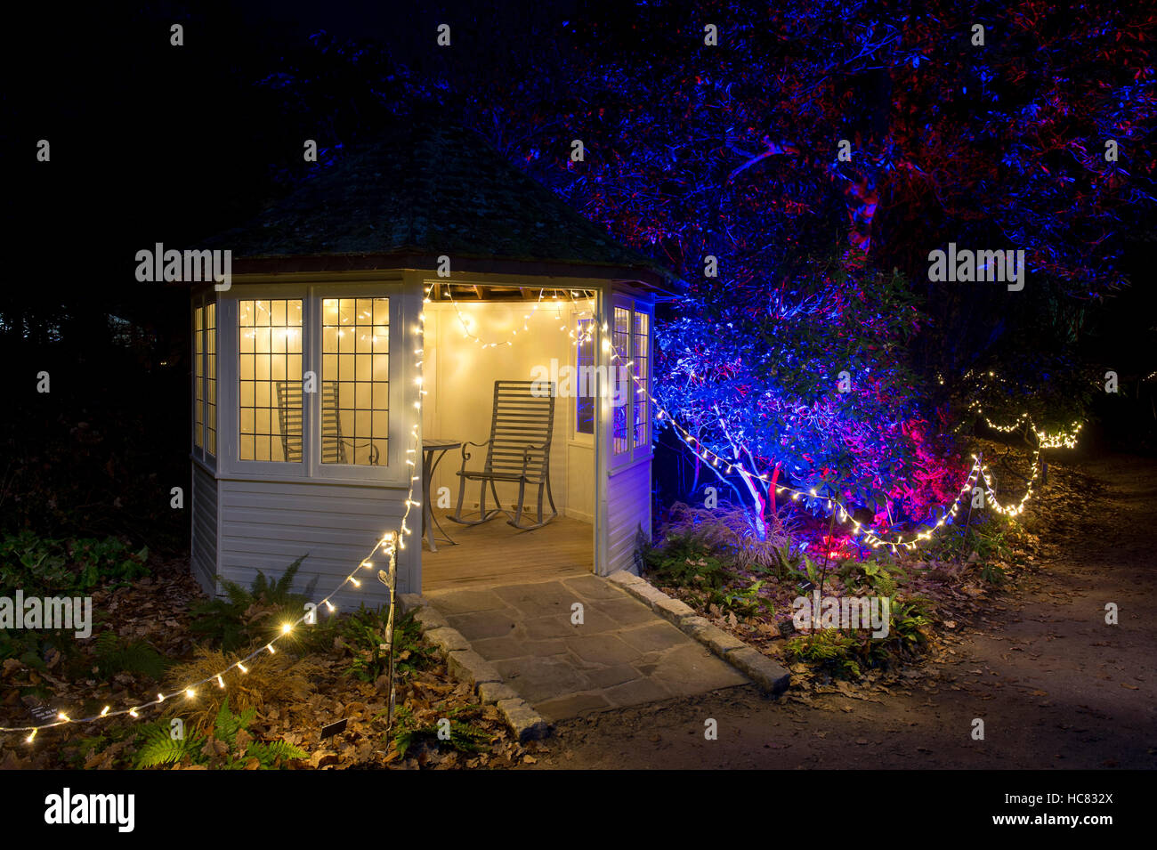 Les lumières de Noël à RHS Wisley Gardens, Surrey, Angleterre. Bougies de Noël 2016 Festival Banque D'Images