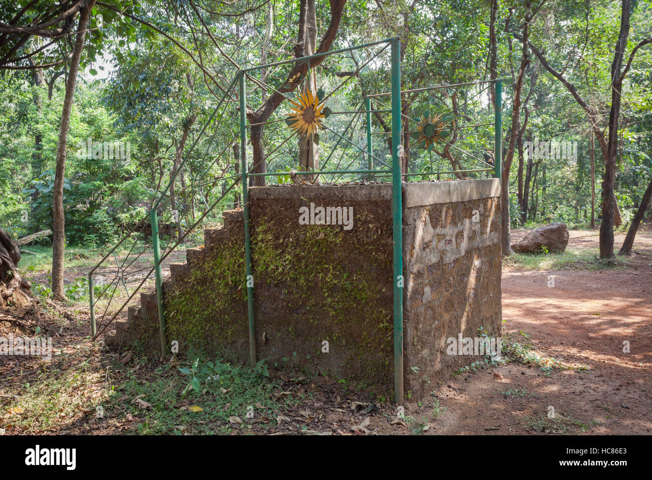 Bloc de montage pour elelphants, vieux et non, dans une plantation d'épices, Goa, Inde Banque D'Images