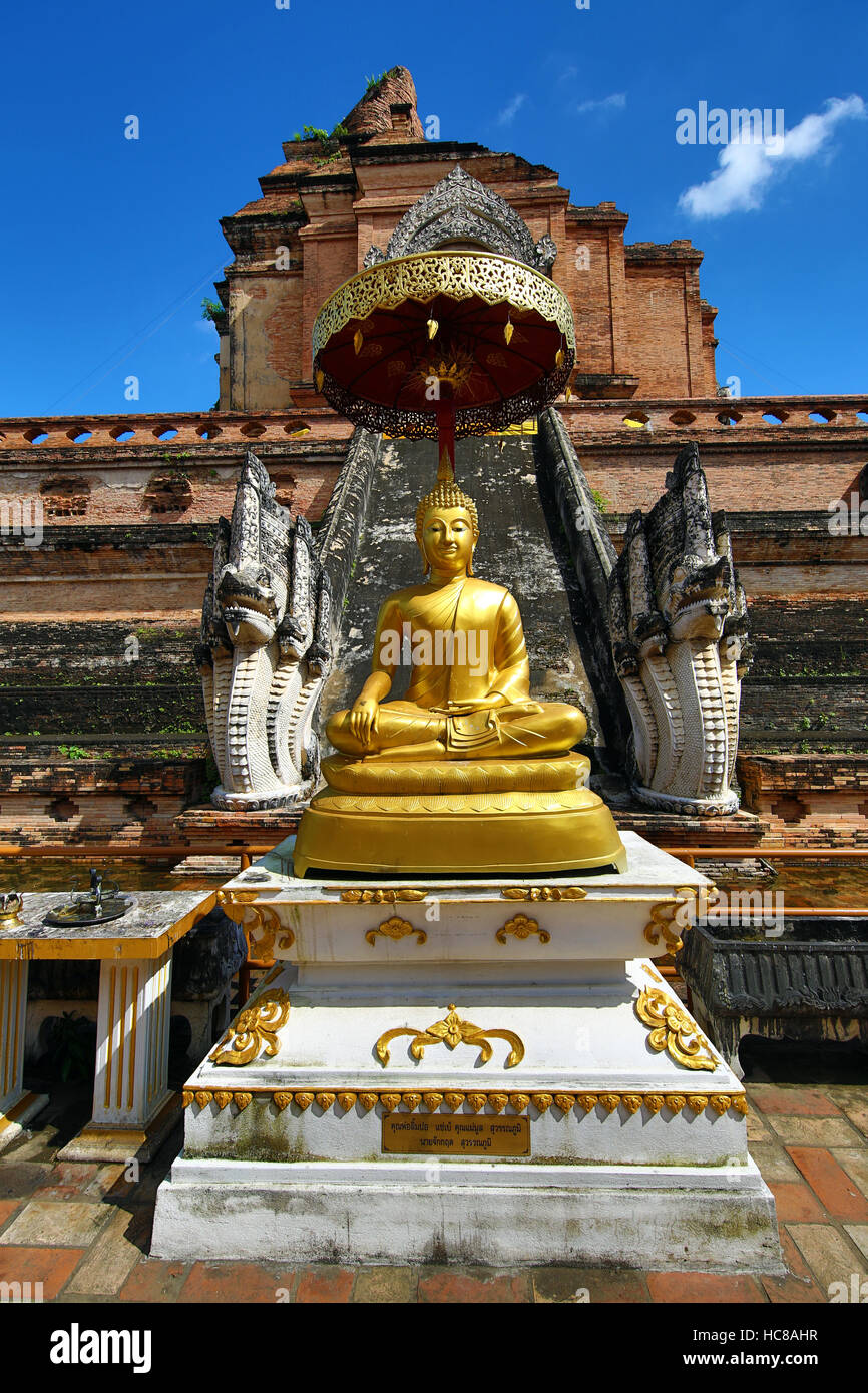 Statue du Bouddha d'or au Chedi du Wat Chedi Luang temple à Chiang Mai, Thaïlande Banque D'Images