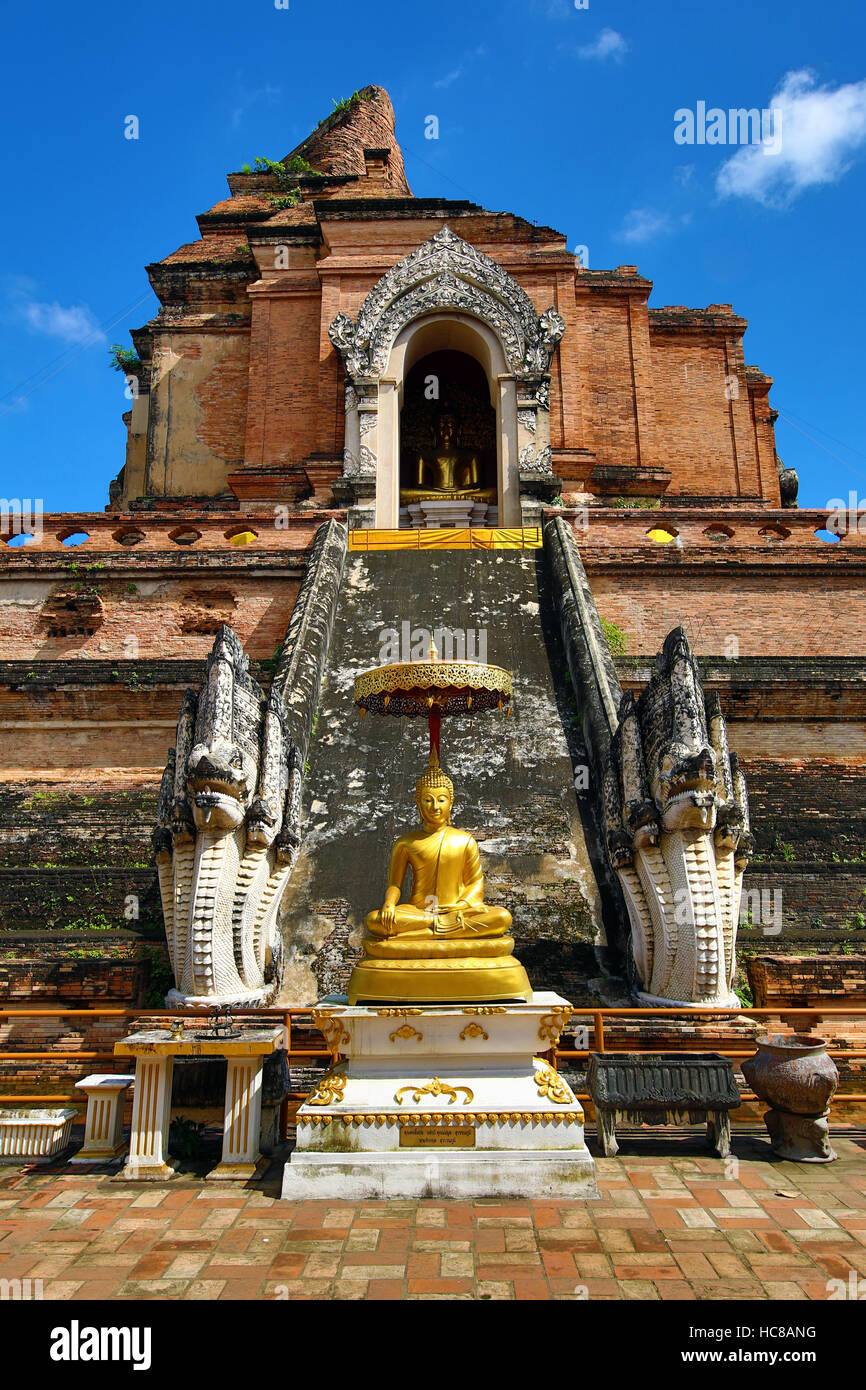 Statue du Bouddha d'or au Chedi du Wat Chedi Luang temple à Chiang Mai, Thaïlande Banque D'Images