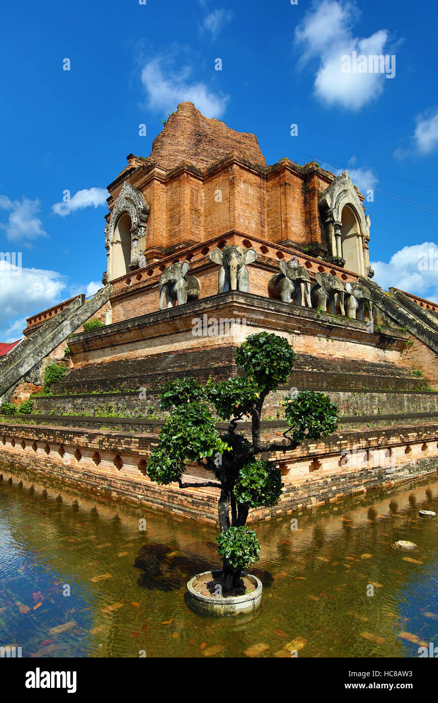 Le chedi du Wat Chedi Luang temple à Chiang Mai, Thaïlande Banque D'Images