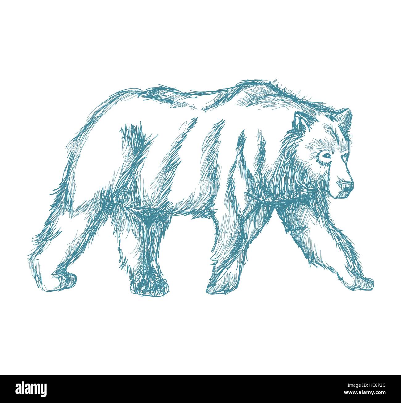 Big Bear vintage bleu croquis Illustration de Vecteur